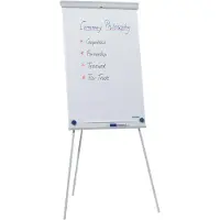 Franken Flipchart X-tra!Line Standard, in hoogte verstelbaar, houder met snelsluiting, opbergbakje, magnetisch bord met B 680 x H 1050 mm, lichtgrijs