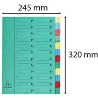 Exacompta 5124E premium archiefmap van extra sterk Colorspan karton DIN A4 24 full-color kleurrijke vakken met organisatieprint en elastische rug ringband registermap groen
