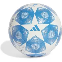 Adidas UEFA Champions League Club Voetbal Maat 5 2024-2025 Blauw Wit Zilver