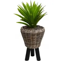 Van der leeden Bloempot Drypot wooden legs black 33X45 cm - Van der Leeden