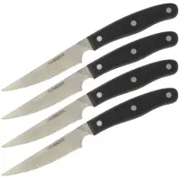 Nirosta Set van 4 steakmessen 22 cm Fit