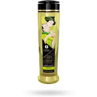 Shunga - Organica Massage Olie Asian Fusion - 240 ml