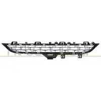 BLIC 6502-07-0097919P Ventilatiegrille, bumper