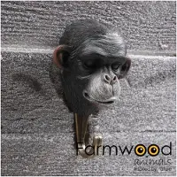 Farmwood Animals Kapstok Haak Hook'd! Aap 4,5x8x12,5cm Zwart zwart Polyresin