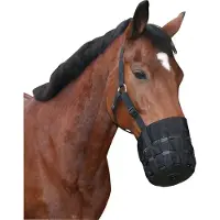 Covalliero Halster