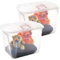 PlasticForte opberg kist met deksel - 2x - Multi Purpose Box - 75 liter - 60 x 42 x 43 cm - kunststof - transparant