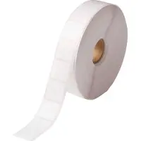Brady THT-164-488-1-SC label polyester mat wit 22,86 x 22,86 mm (origineel)
