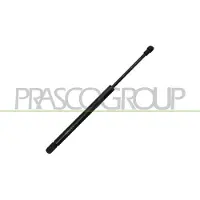 PRASCO VG2019055 Gasveer achterklep