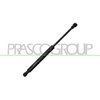 PRASCO AA0909055 Gasveer achterklep