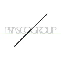 PRASCO VG0389001 Gasveer motorkap