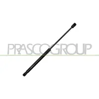 PRASCO BM8229005 Gasveer motorkap