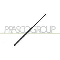 PRASCO CI7059055 Gasveer achterklep