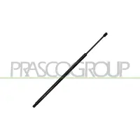 PRASCO VG9049055 Gasveer achterklep