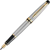 Waterman Expert vulpen | roestvrij staal met 23-karaats gouden trim | Fijne punt | geschenkverpakking