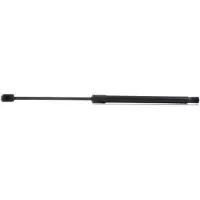 RIDEX 219G0420 Gasveer achterklep