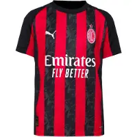 Puma Functioneel shirt 'AC Milan 25/26' rood / zwart / wit