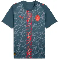 Puma Tricot 'FC Shakhtar Donetsk 25/26' grijs / grafiet / vuurrood
