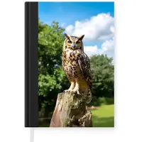 MuchoWow Notitieboek - Schrijfboek - Uil - Boomstronk - Bos - Lucht - Notitieboekje klein - A5 formaat - Schrijfblok