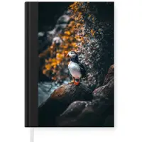 MuchoWow Notitieboek - Schrijfboek - Papegaai - Vogel - Rots - Wit - Notitieboekje klein - A5 formaat - Schrijfblok