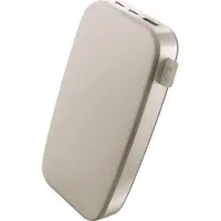 Fresh 'n rebel Powerbank 2PB24100SS