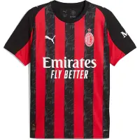 Puma Tricot 'AC Milan 2025/26' rood / zwart / wit