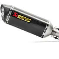 Akrapovic Racing Line Carbon G310r/g310gs Ref:m-r04902c Niet Gehomologeerde Demper