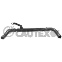 CAUTEX 031097 Radiateurslang