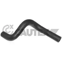 CAUTEX 036389 Radiateurslang