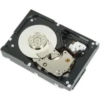 Dell harde schijf - 4 TB - intern - 3.5" (8.9 cm)