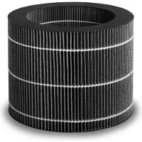 Beurer 110005 Ersatzfilter LB 200 / LB 300 Plus Reservefilter Zwart