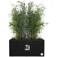 Elho Bak vivo next L80cm zwart