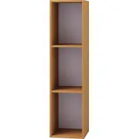 Hioshop Platto3 wandkast voor LP 3 planken beuken decor.