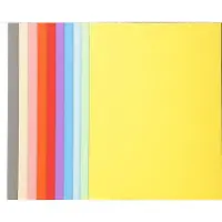 Exacompta FOREVER 170 - Pak van 100 dossiermappen 170g/m2- 24x32cm voor A4. - Geassorteerd - 420000E