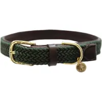 Kentucky Dogwear Nylon Hondenhalsband