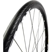 Tannus buitenband New Slick 28 x 1.00 (25 622) anti lek zwart