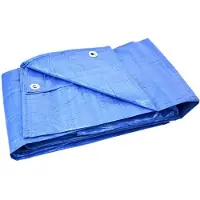 GEKO Blauwe dekzeil - versterkt - waterdicht - 8x12m
