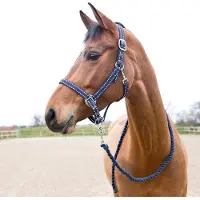 Hankkija.fi Halster en touwset voor paarden Cooper
