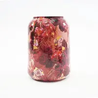 RM Plants Vaas Vita Rose 62cm