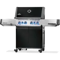 Napoleon Prestige 500