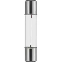 Schiefer SF6 Gloeilamp | 2.4W 8V 300mA 2500K | 6x31mm | 10 stuks