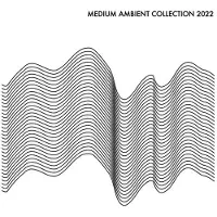 Bertus Distributie V/A - Medium Ambient Collection 2022 (LP)