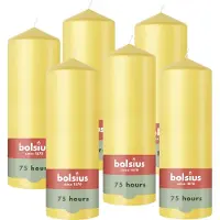 Bolsius - Gladde Stompkaarsen - 6 stuks - Geel - 20 cm - 75 Branduren