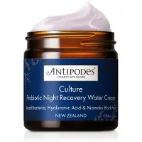 Antipodes Culture Probiotic Night Recovery Water Cream Nachtcrème 60 ml
