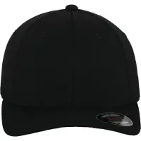 Flexfit Pet zwart