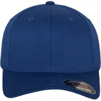 Flexfit Pet 'Flat Visor' royal blue/koningsblauw