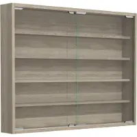VCM AgisaL glazen vitrines wandmontage 2 schuifdeuren eik decor.
