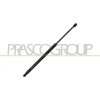 PRASCO FD6029055 Gasveer achterklep