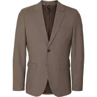 Selected Colbert 'SLHTheo' bruin