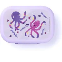 Amuse - Brooddoos Sea Life
