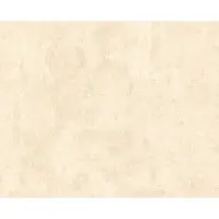 A.S. Création Jade 2 - Beige - Gipslook - 224064